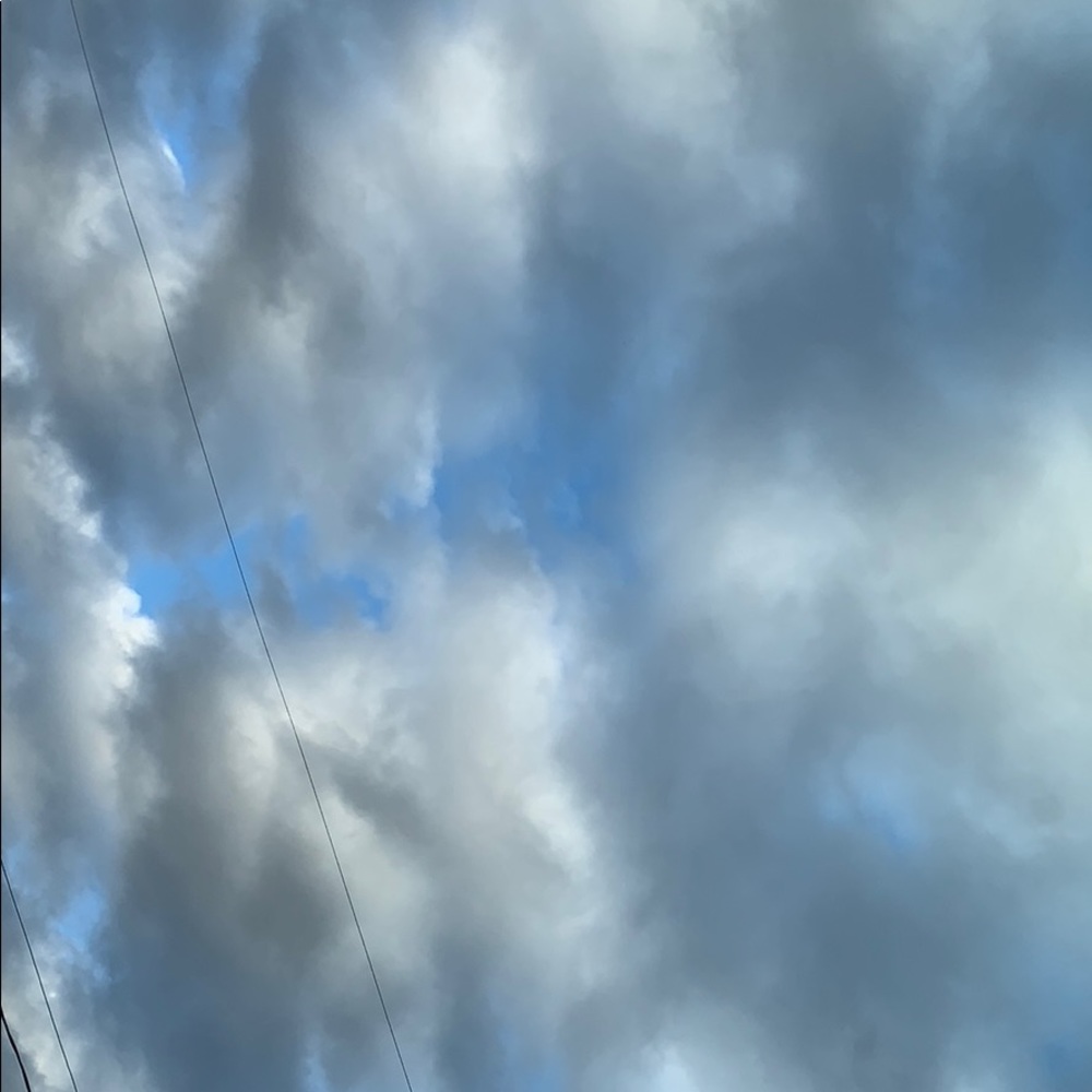 Meet your Posher, Elle